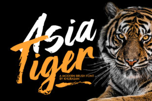 Asia Tiger Font for Bold Branding