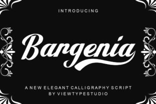 Bargenia: A Premium Script Font for Business Branding
