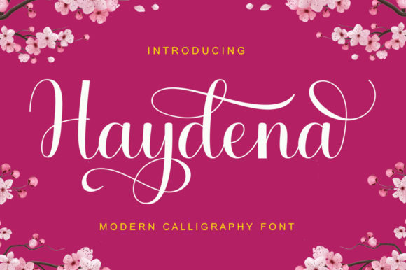 Haydena Font: Elegant Script for Creative Makers