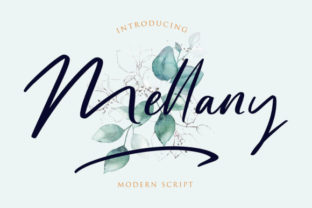 Mellany: A Script Font for Elegant Web Design