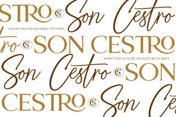 Son Cestro Duo Font for Web Design